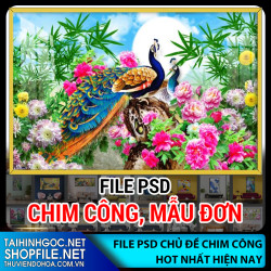 File psd tranh Chim công, mẫu đơn 2023